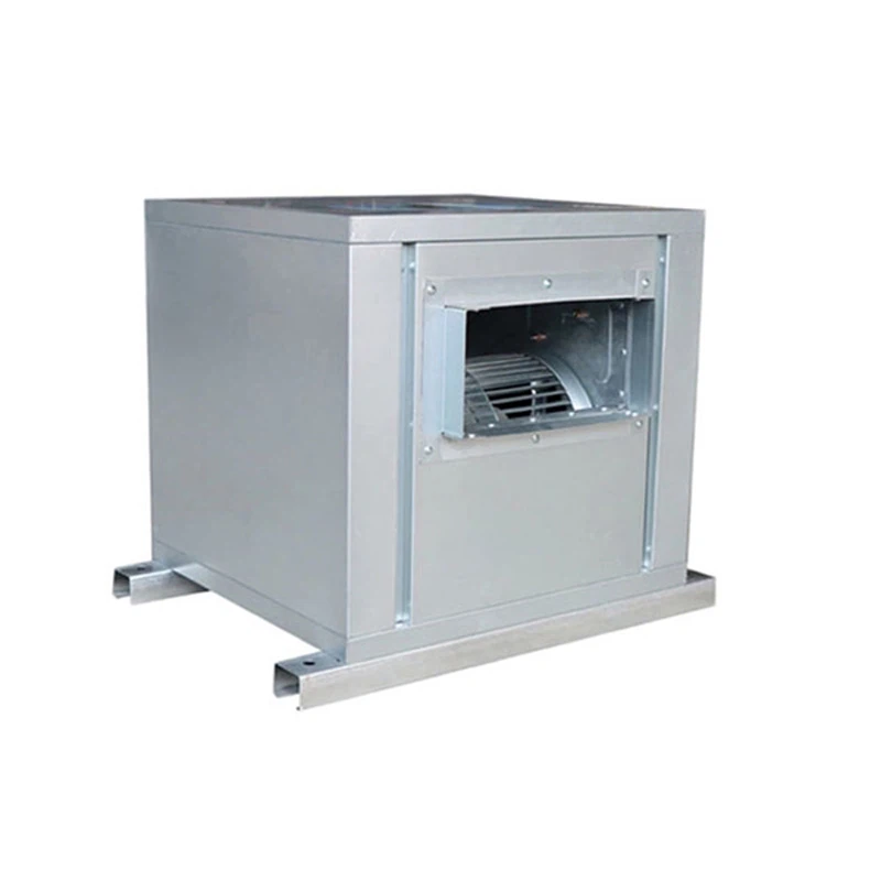 product-800-800 product-800-800